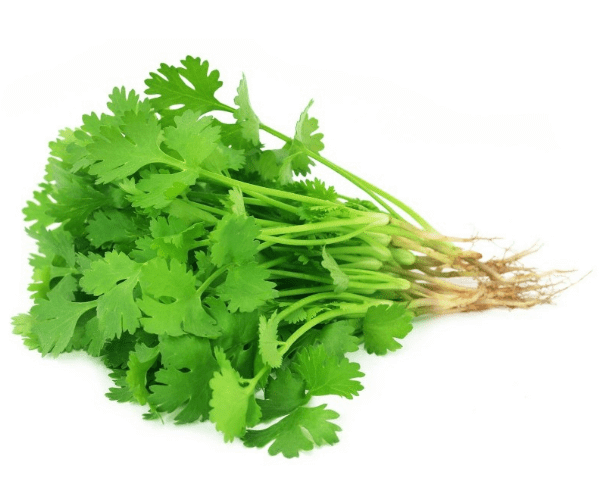 Sveži tajski koriander 50g